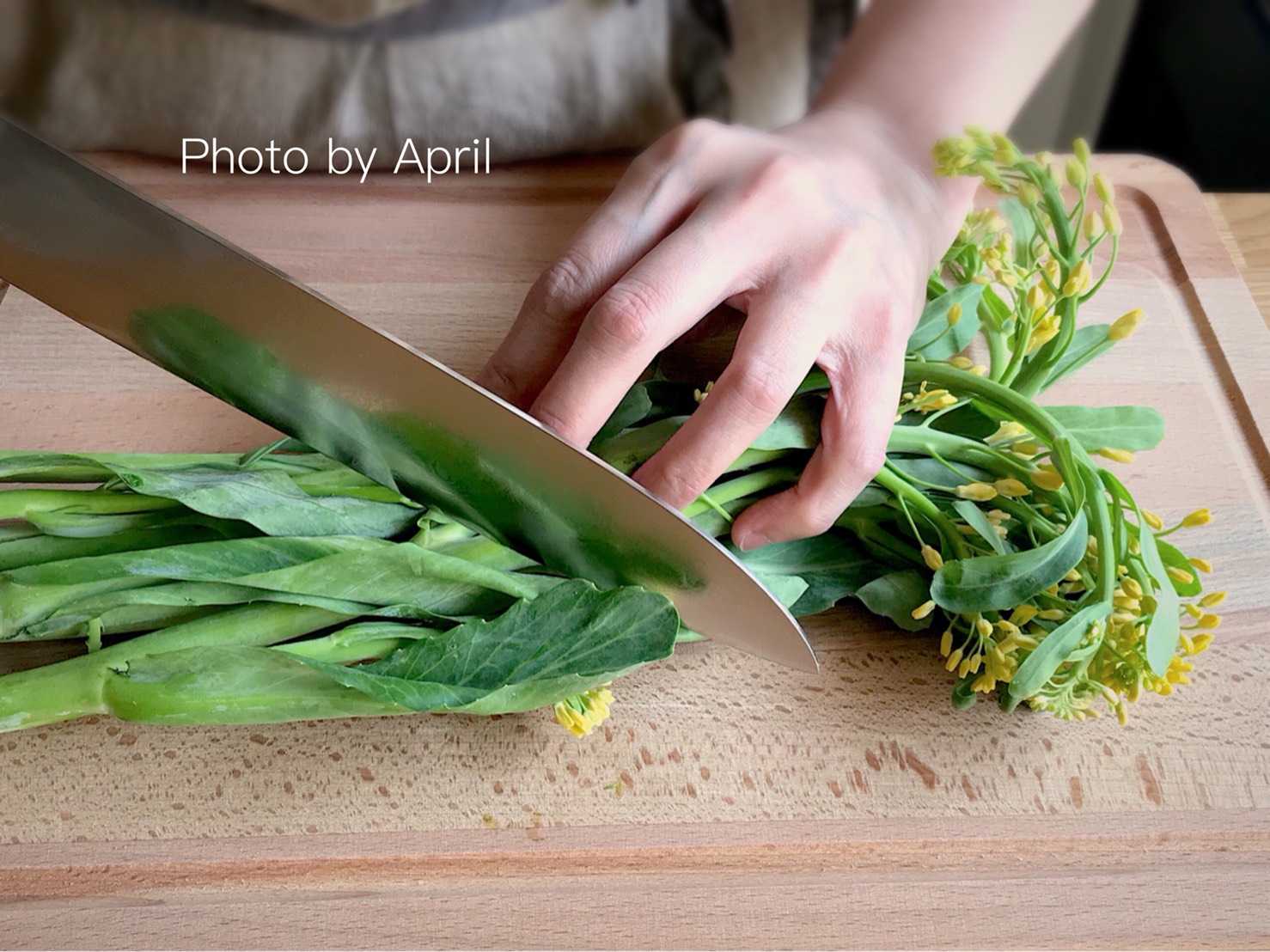 主婦必備刀具懶人包，來自TGM的設計工藝精品