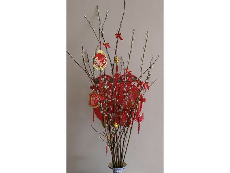 過年居家裝飾怎麼擺 應景六種水果 花藝盆栽讓好運跟著來 愛料理生活誌