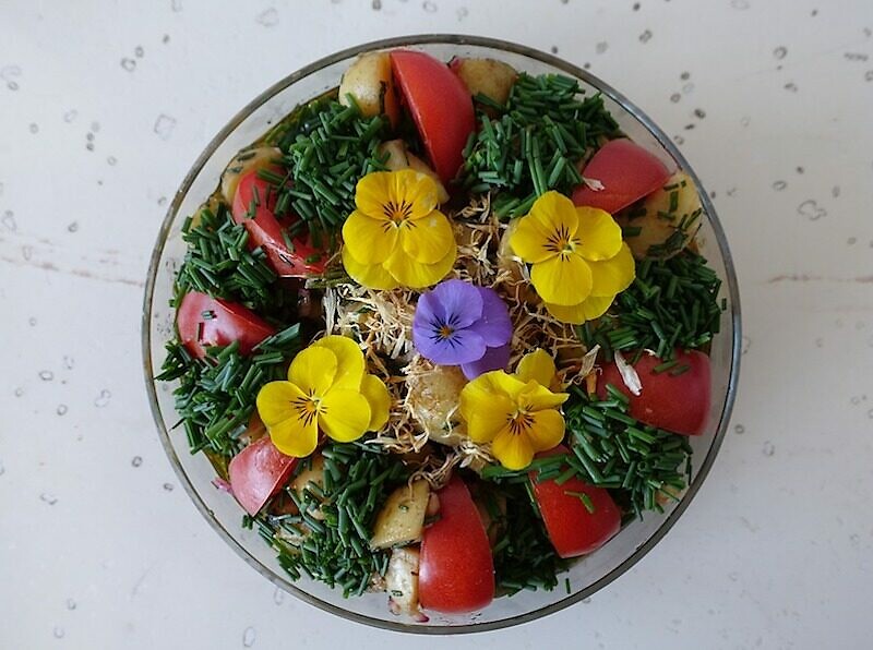 常見的可食用花朵介紹 如何將花朵用在料理中 愛料理生活誌