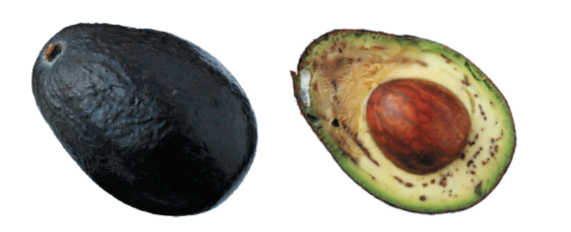 酪梨擺太久熟透很可惜 教你挑選酪梨 分辨熟度與美味 愛料理生活誌