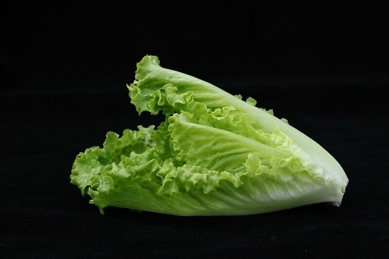 蘿蔓生菜鴨鬆by 熊主婦料理手帳 愛料理